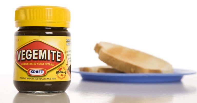 can dogs eat vegemite