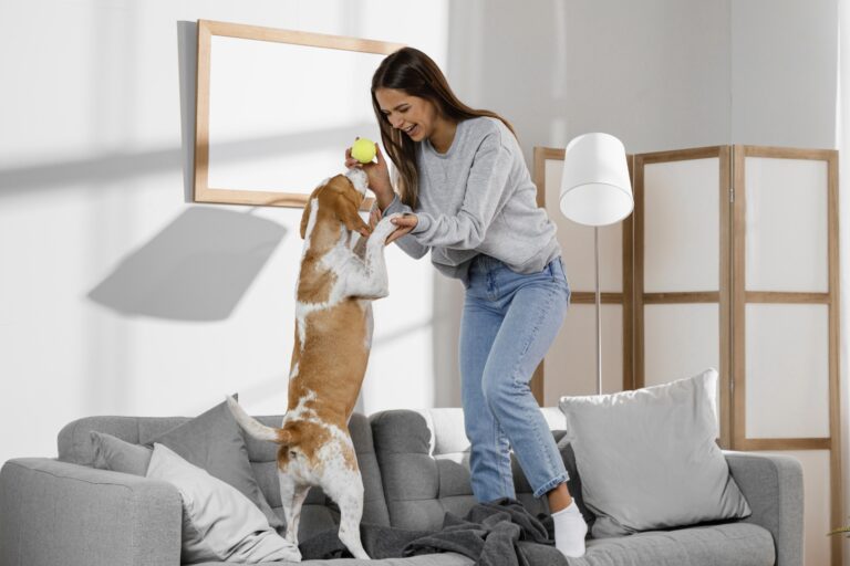 Pet Tips
