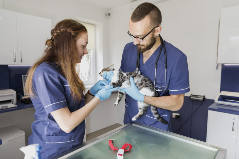 Emergency Pet Care