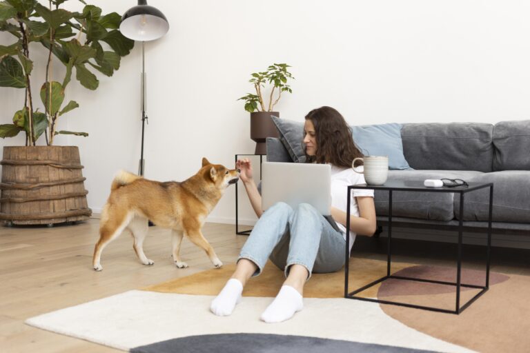 Complete Guide to How to Set Up a Pet-Friendly Home