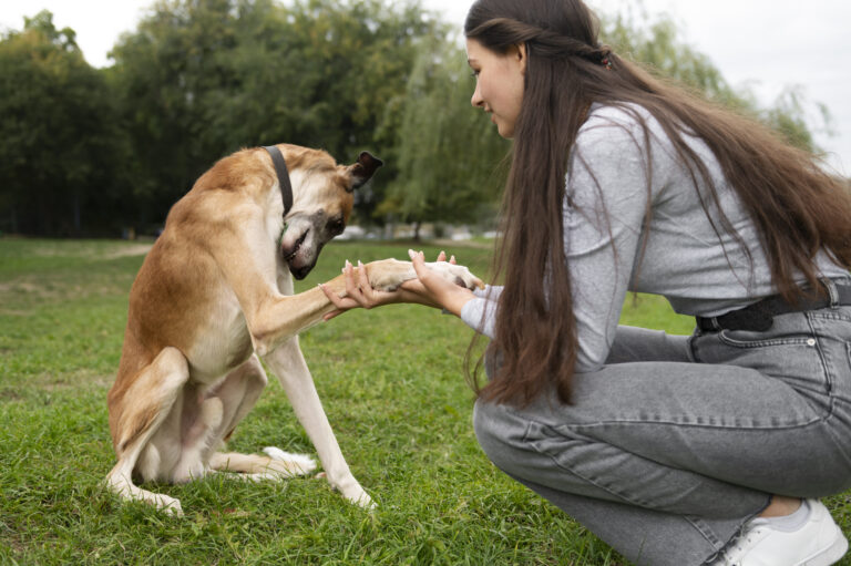Behavior Pets