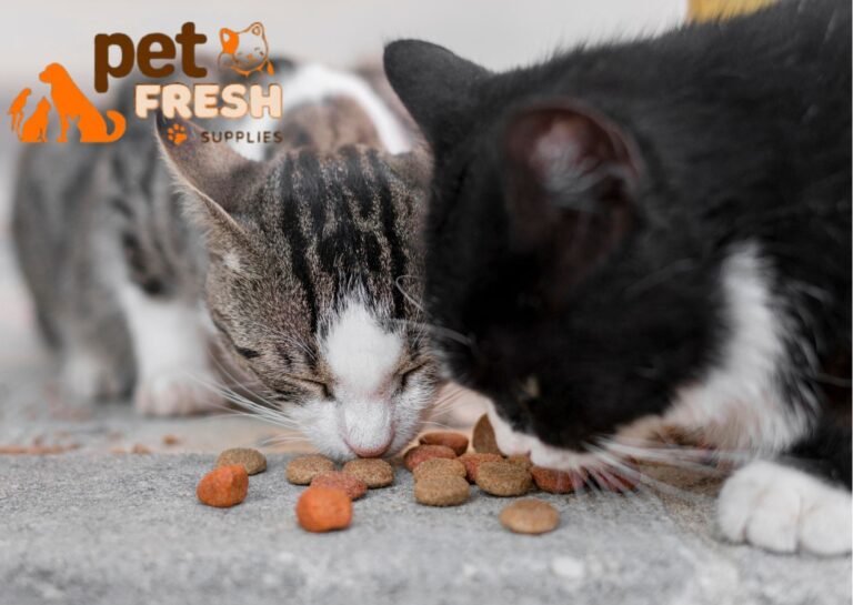 Cat food