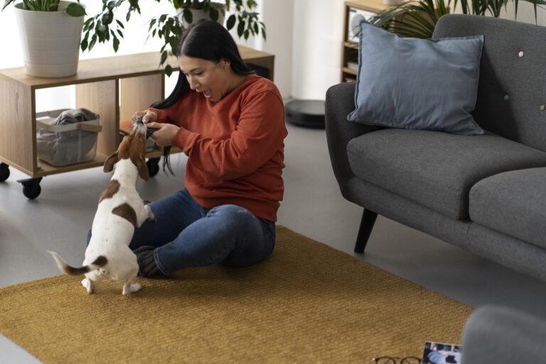 PetChewing Furniture