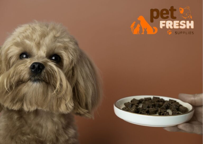 Feeding vs. Commercial Pet Food